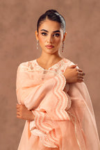 Crimson(Embroidered 3Pc Set)