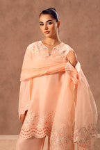 Crimson(Embroidered 3Pc Set)